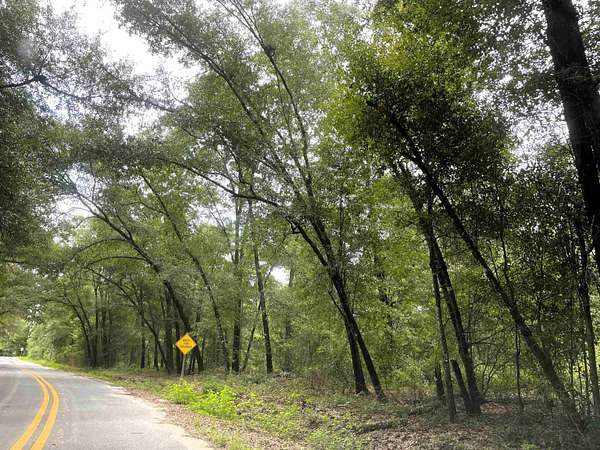 5.7 Acres of Land for Sale in Chattahoochee, Florida