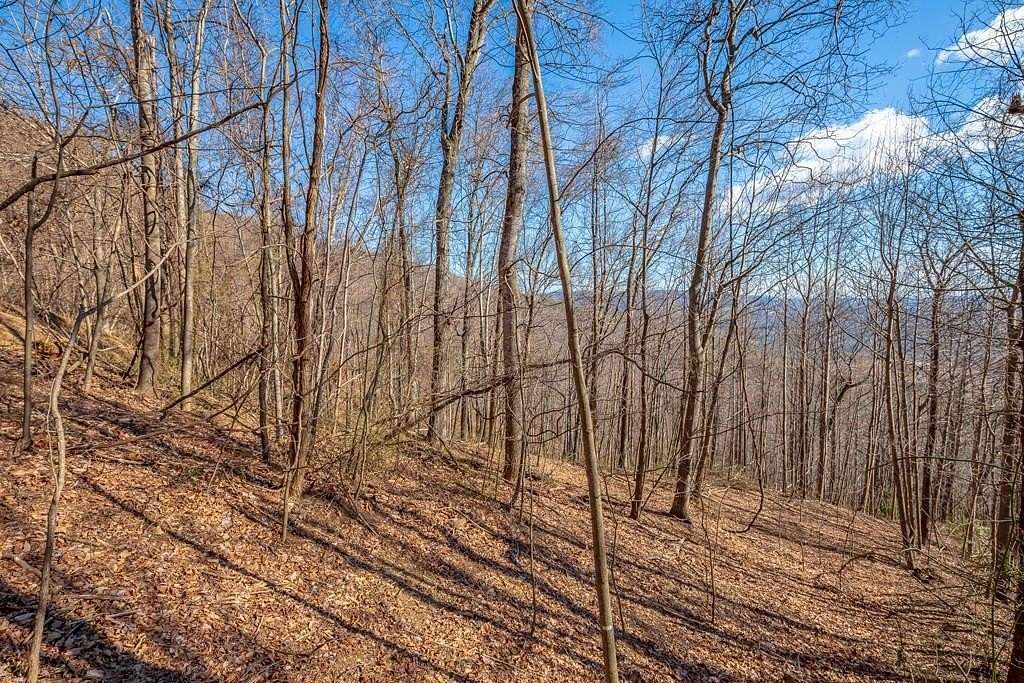 3 Acres of Residential Land for Sale in Fancy Gap, Virginia
