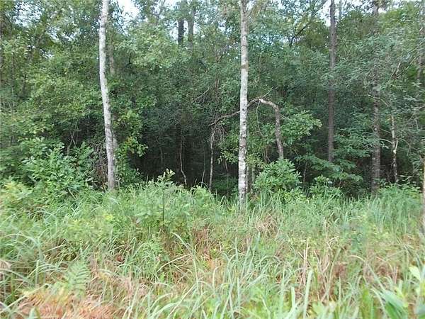 4 Acres of Residential Land for Sale in Citronelle, Alabama