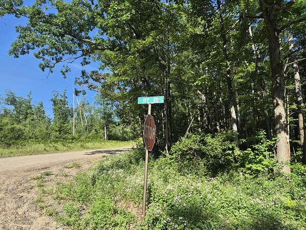 3.33 Acres of Land for Sale in Roscommon, Michigan
