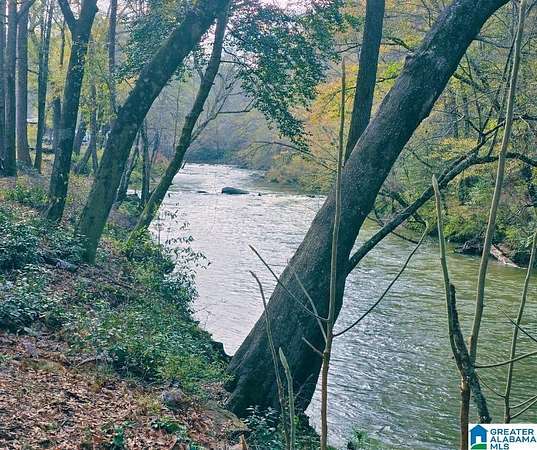 1.6 Acres of Residential Land for Sale in Jasper, Alabama