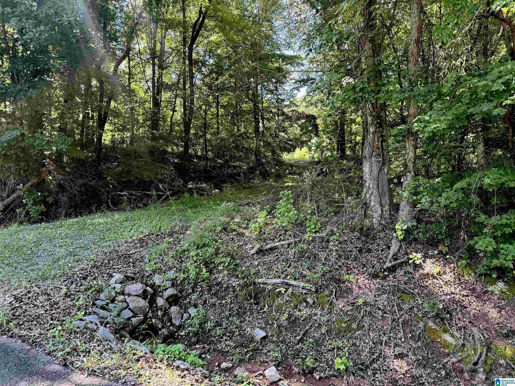 2.7 Acres of Residential Land for Sale in Jacksonville, Alabama