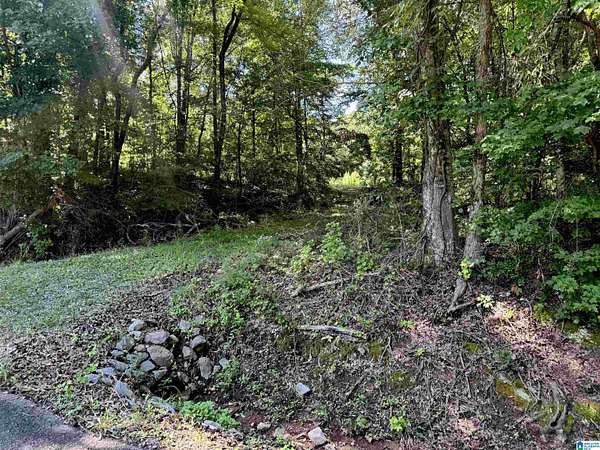 2.7 Acres of Residential Land for Sale in Jacksonville, Alabama