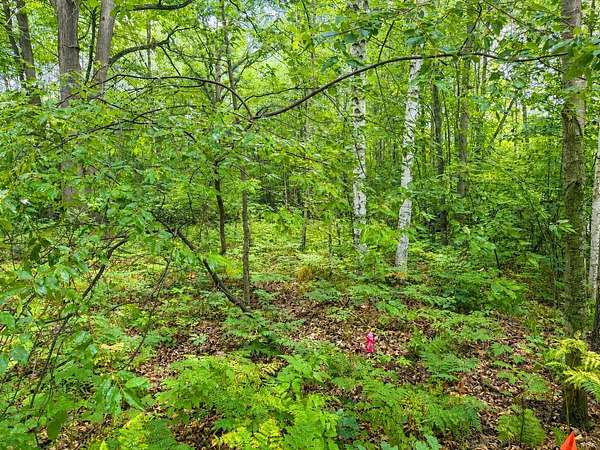 0.61 Acres of Residential Land for Sale in Houghton Lake, Michigan