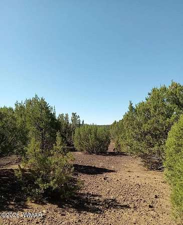 1.29 Acres of Residential Land for Sale in Vernon, Arizona