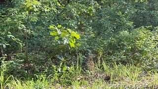 0.92 Acres of Residential Land for Sale in Rocky Mount, Missouri