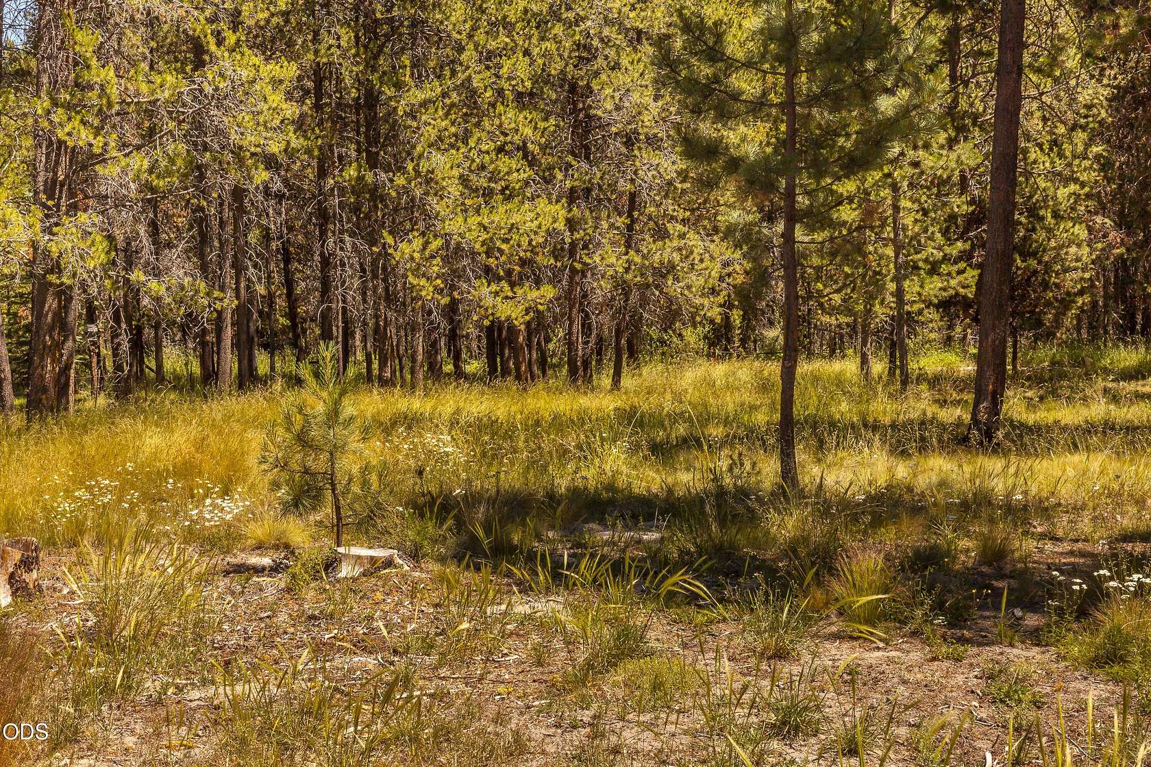 0.64 Acres of Residential Land for Sale in Bend, Oregon