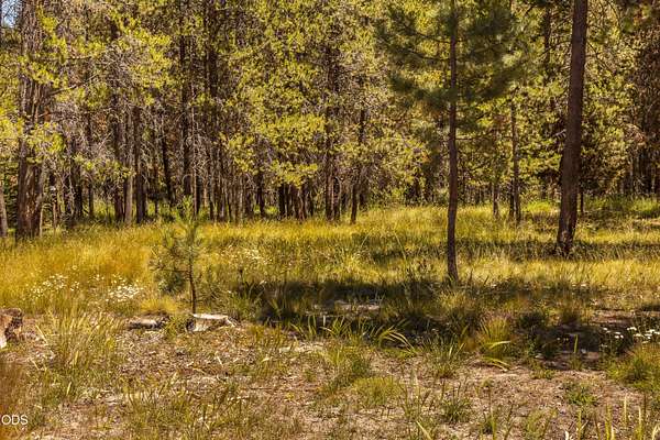 0.64 Acres of Residential Land for Sale in Bend, Oregon