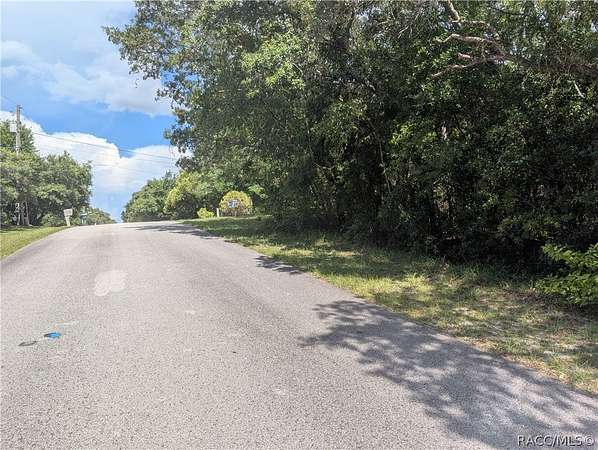 0.96 Acres of Residential Land for Sale in Hernando, Florida