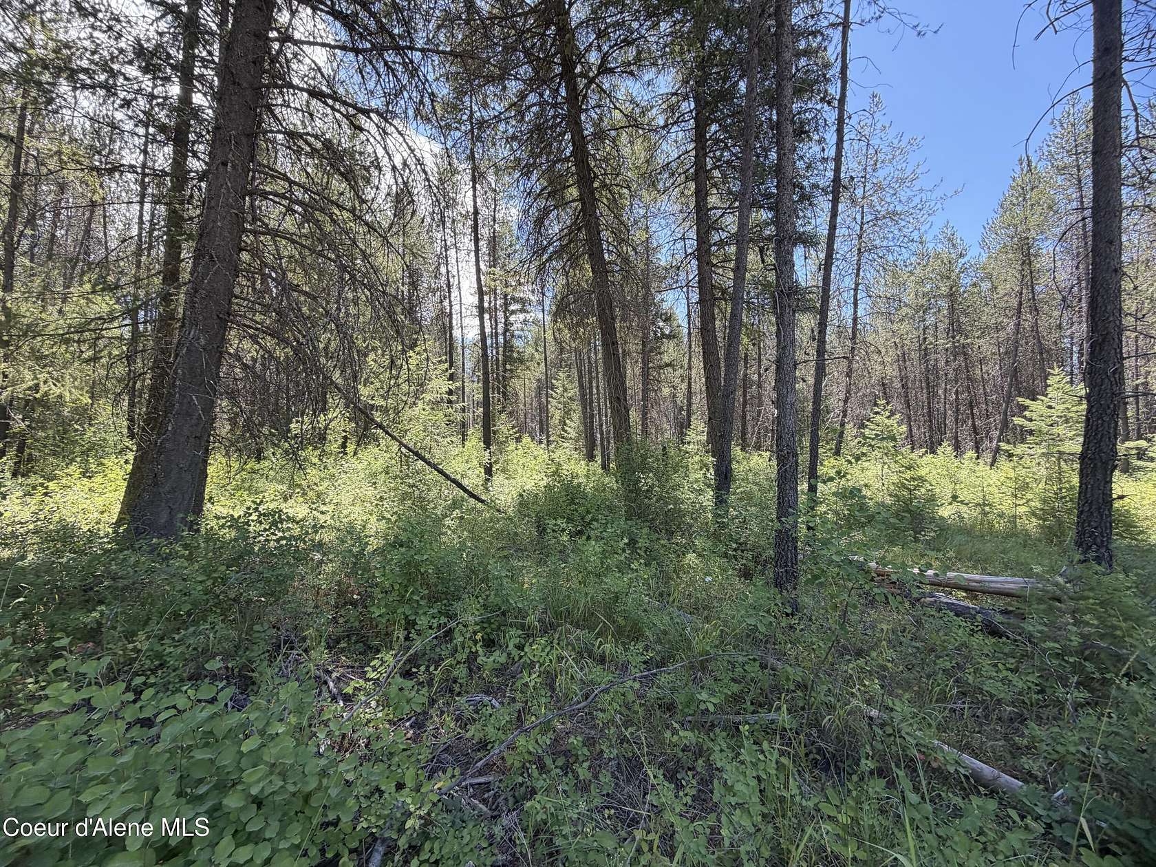5 Acres of Residential Land for Sale in Priest River, Idaho
