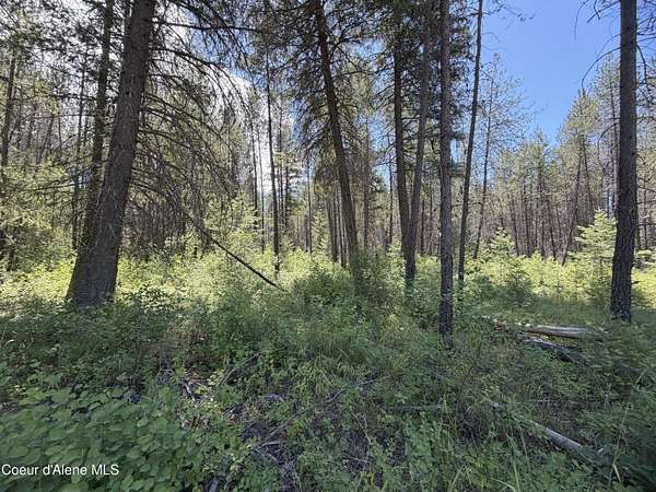 5 Acres of Residential Land for Sale in Priest River, Idaho