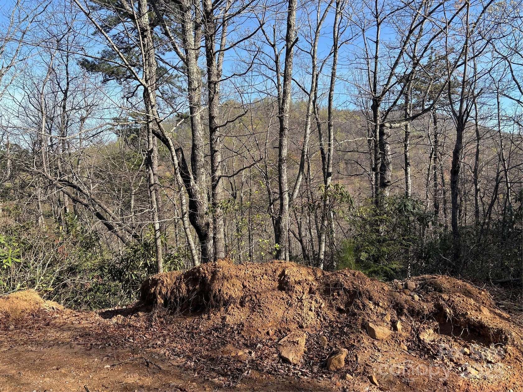 1.1 Acres of Residential Land for Sale in Edneyville, North Carolina