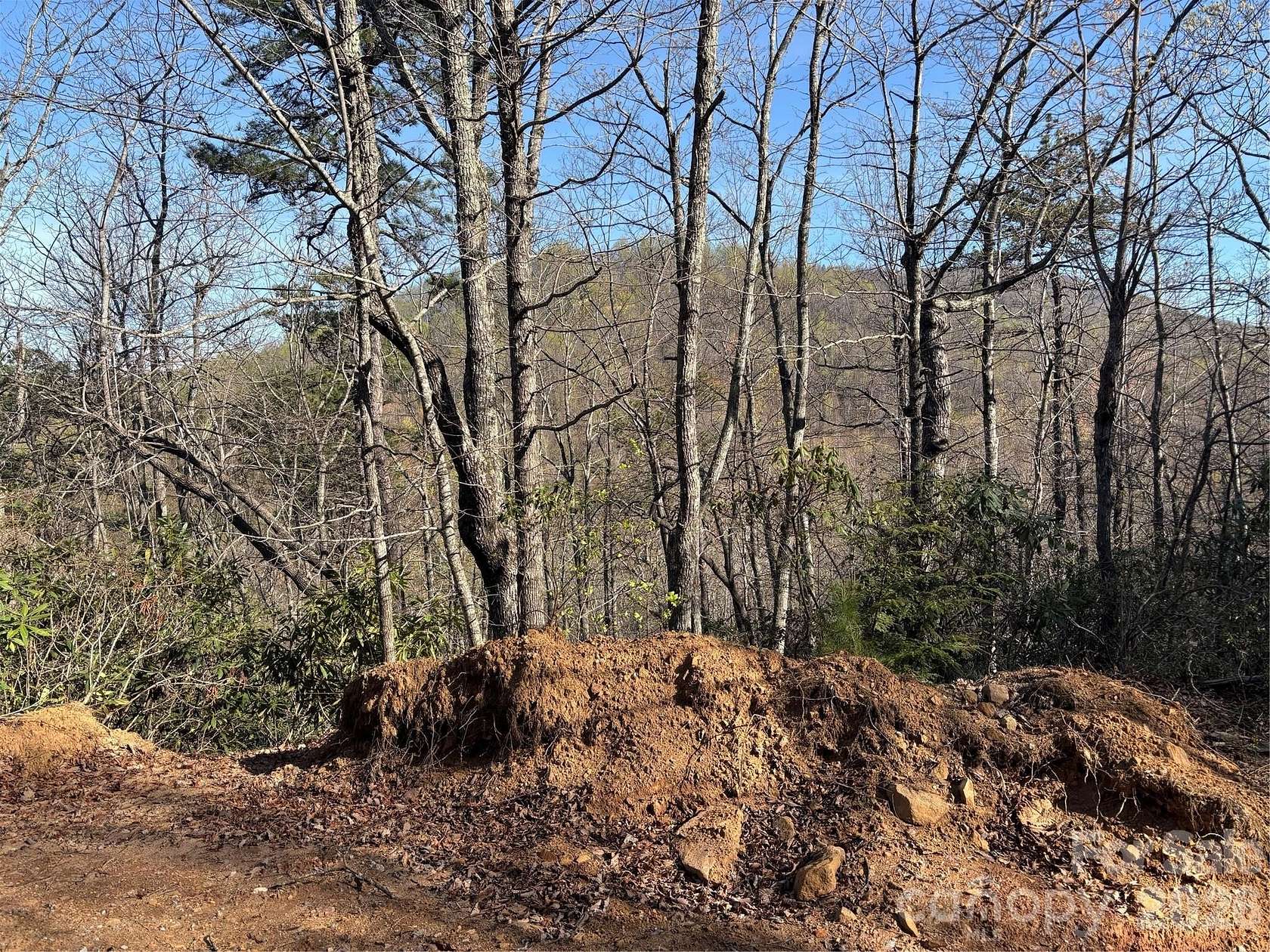 1.1 Acres of Residential Land for Sale in Edneyville, North Carolina