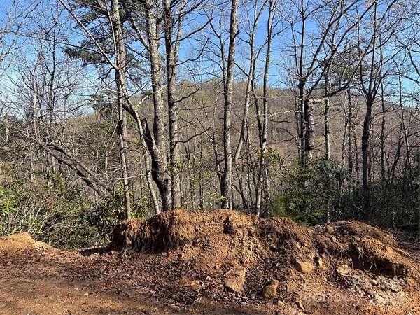 1.1 Acres of Residential Land for Sale in Edneyville, North Carolina