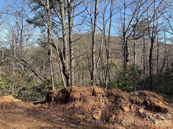 1.1 Acres of Residential Land for Sale in Edneyville, North Carolina