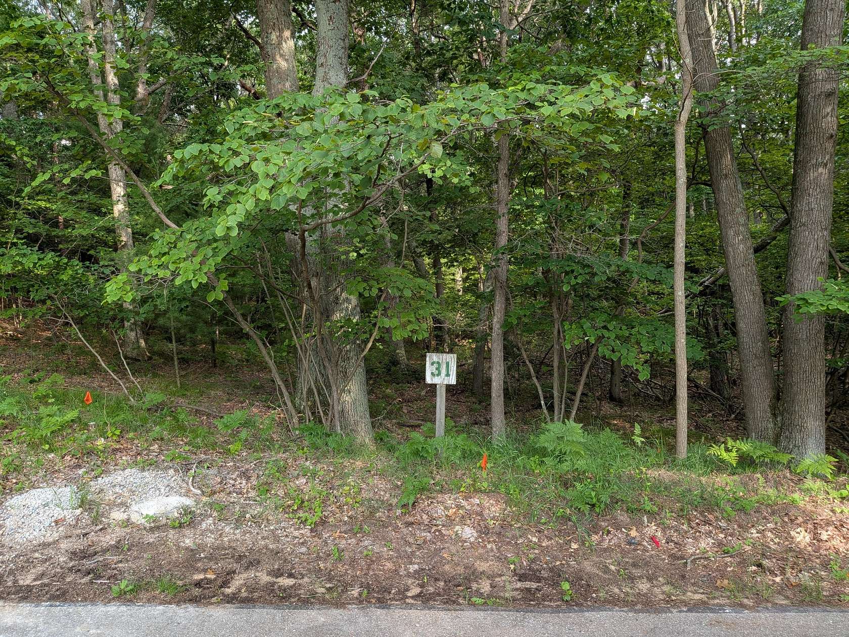 0.58 Acres of Residential Land for Sale in Mears, Michigan