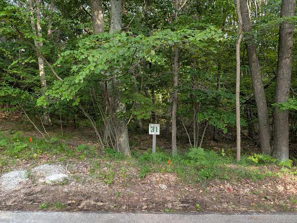 0.58 Acres of Residential Land for Sale in Mears, Michigan