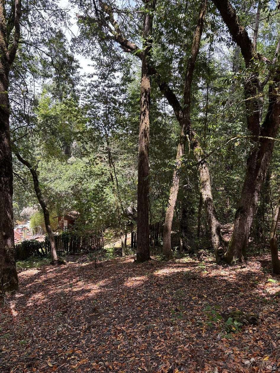 0.33 Acres of Residential Land for Sale in Forestville, California