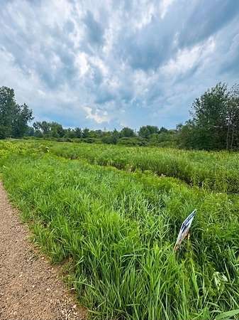 12.6 Acres of Recreational & Residential Land for Sale in Bangor, Michigan