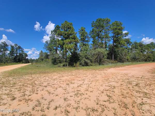 1.18 Acres of Residential Land for Sale in Alford, Florida