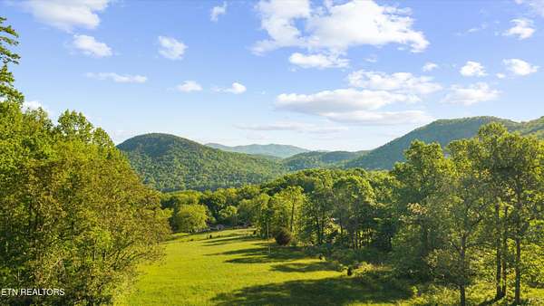 161 Acres of Recreational & Residential Land for Sale in Townsend, Tennessee