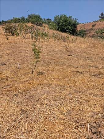 0.32 Acres of Land for Sale in Lincoln Heights, California