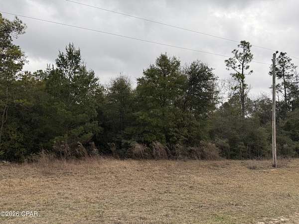 1 Acre of Residential Land for Sale in Alford, Florida