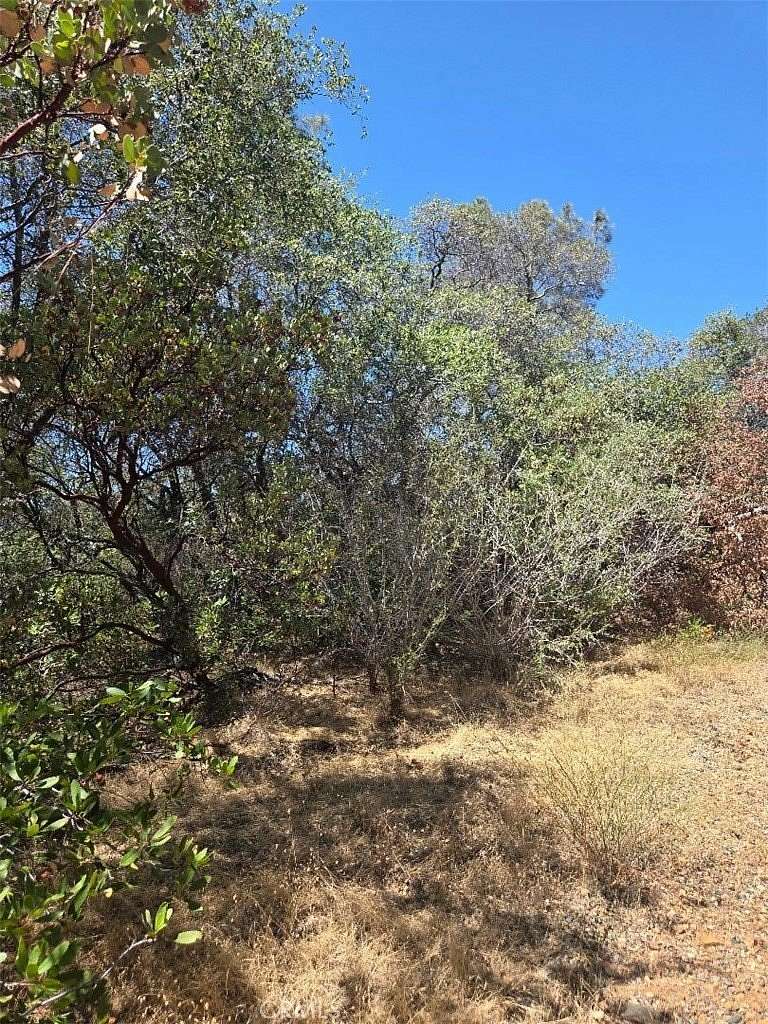 15 Acres of Recreational & Residential Land for Sale in Oroville, California