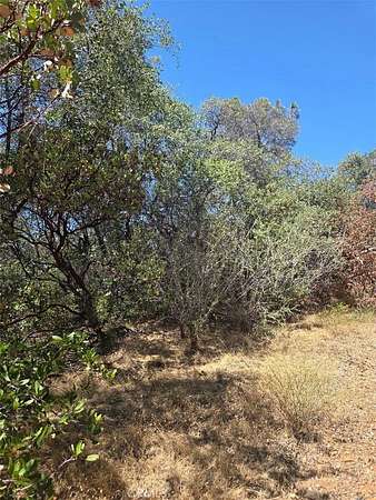 15 Acres of Recreational & Residential Land for Sale in Oroville, California