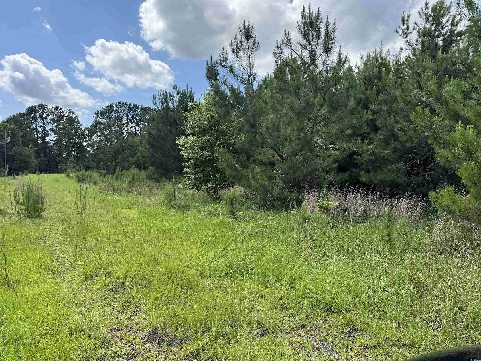 1.5 Acres of Residential Land for Sale in Loris, South Carolina