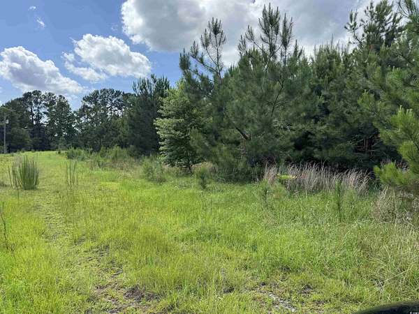 1.5 Acres of Residential Land for Sale in Loris, South Carolina