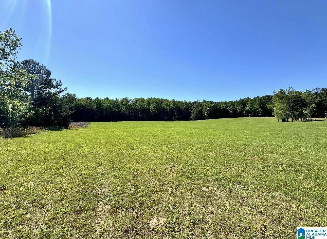 12 Acres of Land for Sale in Roanoke, Alabama