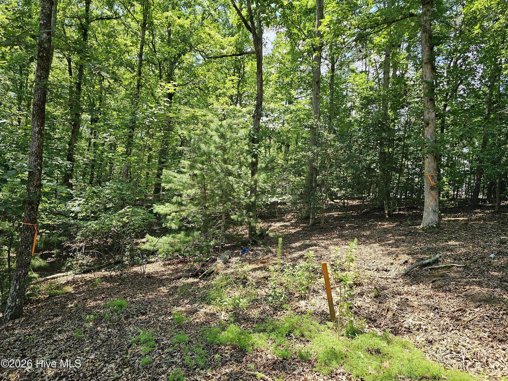 1 Acre of Residential Land for Sale in Murphy, North Carolina