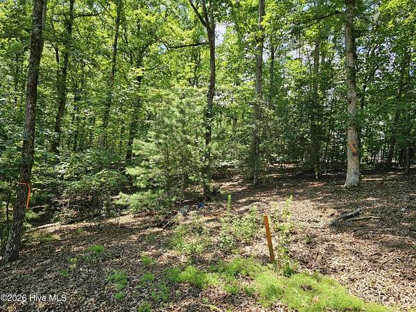 1 Acre of Residential Land for Sale in Murphy, North Carolina