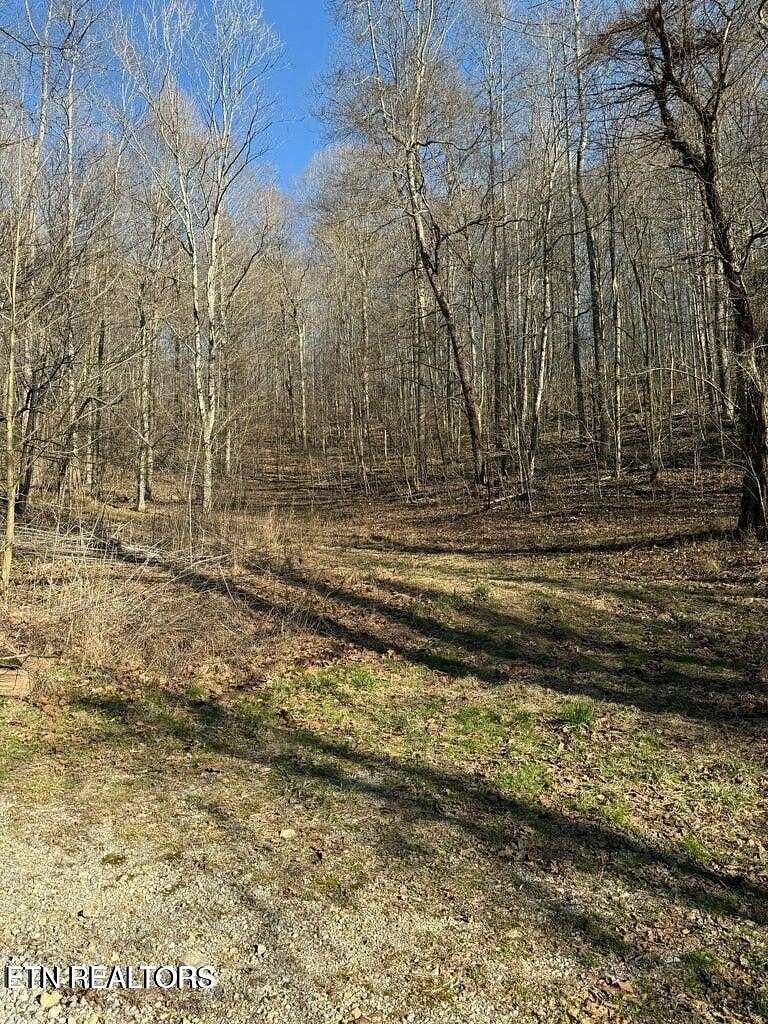 30 Acres of Recreational & Residential Land for Sale in Tazewell, Tennessee