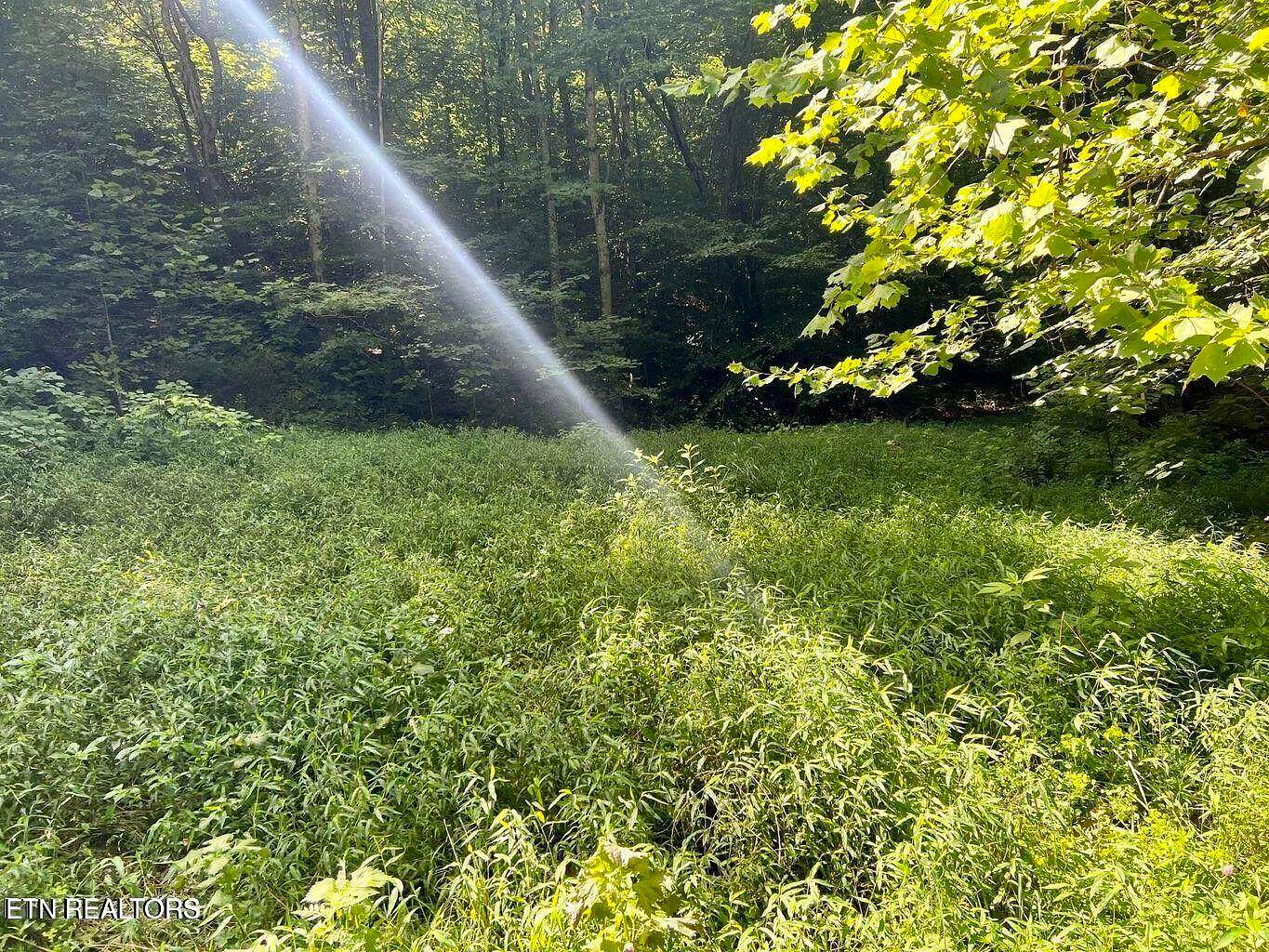 30 Acres of Recreational & Residential Land for Sale in Tazewell, Tennessee