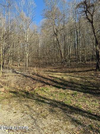 30 Acres of Recreational & Residential Land for Sale in Tazewell, Tennessee
