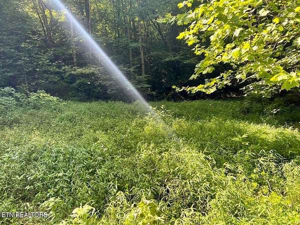 30 Acres of Recreational & Residential Land for Sale in Tazewell, Tennessee