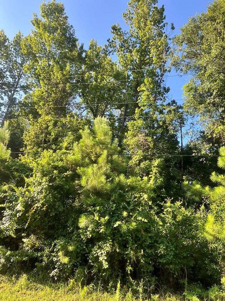 12 Acres of Land for Sale in Kirbyville, Texas