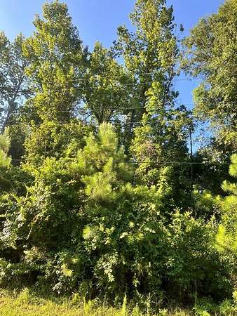 12 Acres of Land for Sale in Kirbyville, Texas