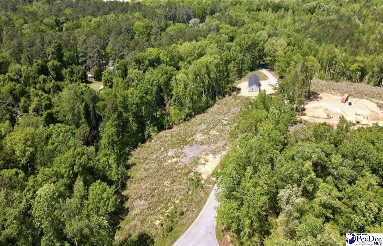 1 Acre of Residential Land for Sale in Chesterfield, South Carolina