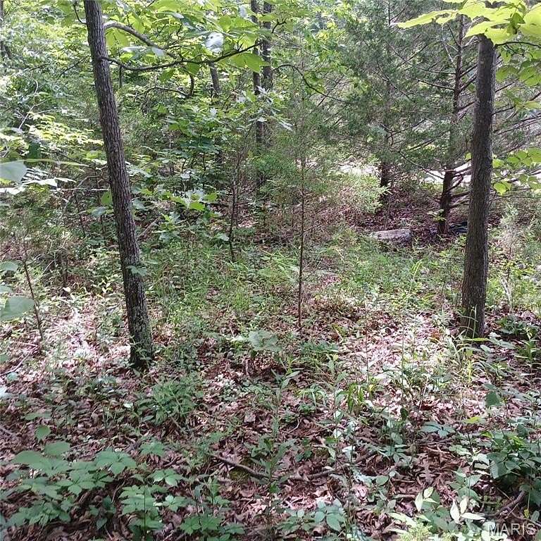 0.23 Acres of Land for Sale in Bismarck, Missouri