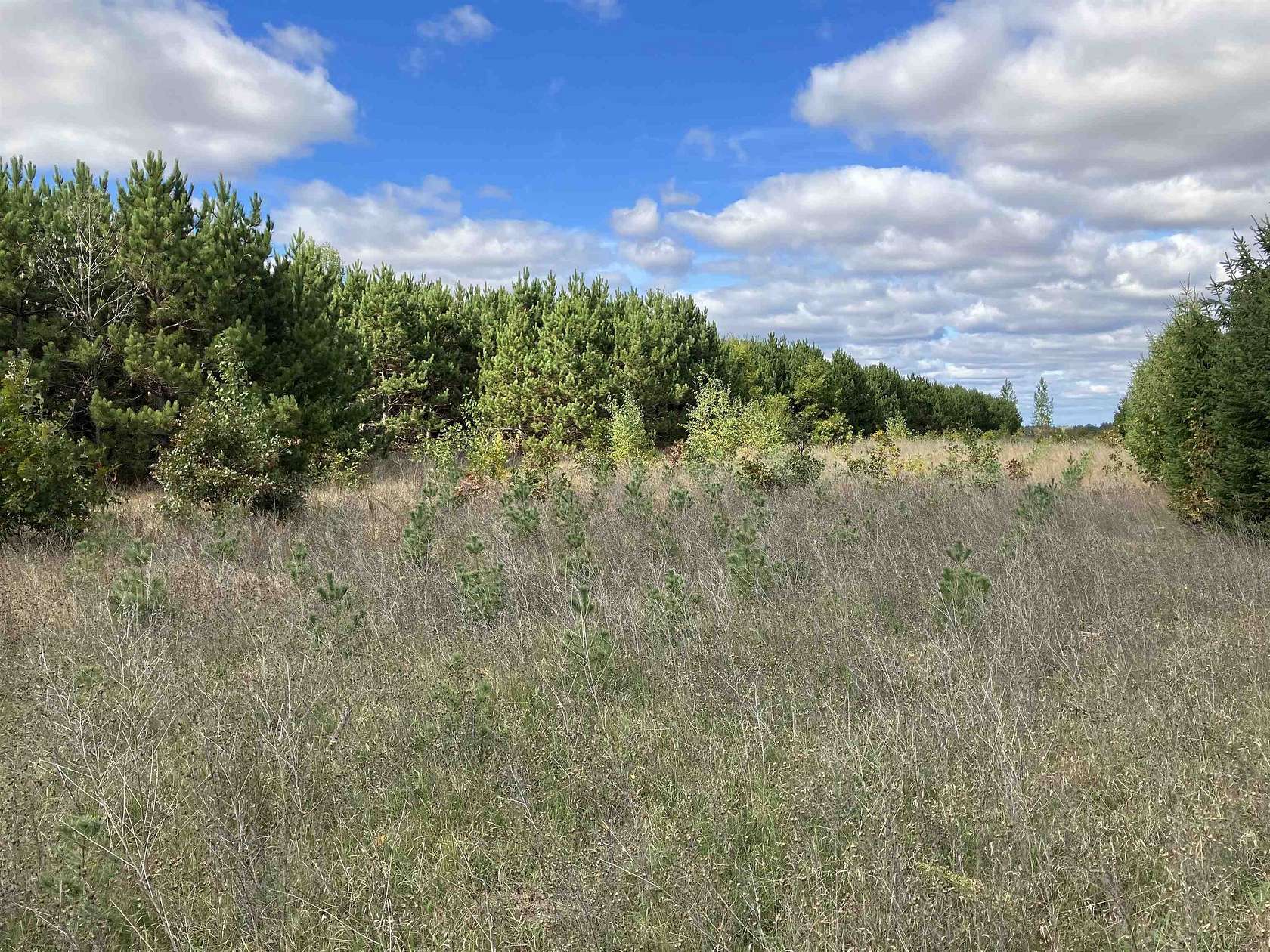 17.6 Acres of Land for Sale in Plainfield, Wisconsin