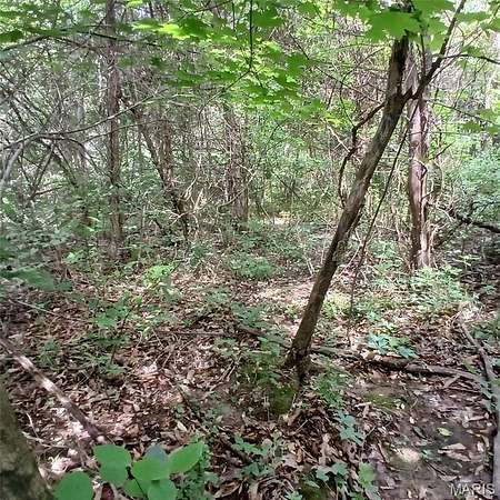 0.46 Acres of Land for Sale in Bismarck, Missouri
