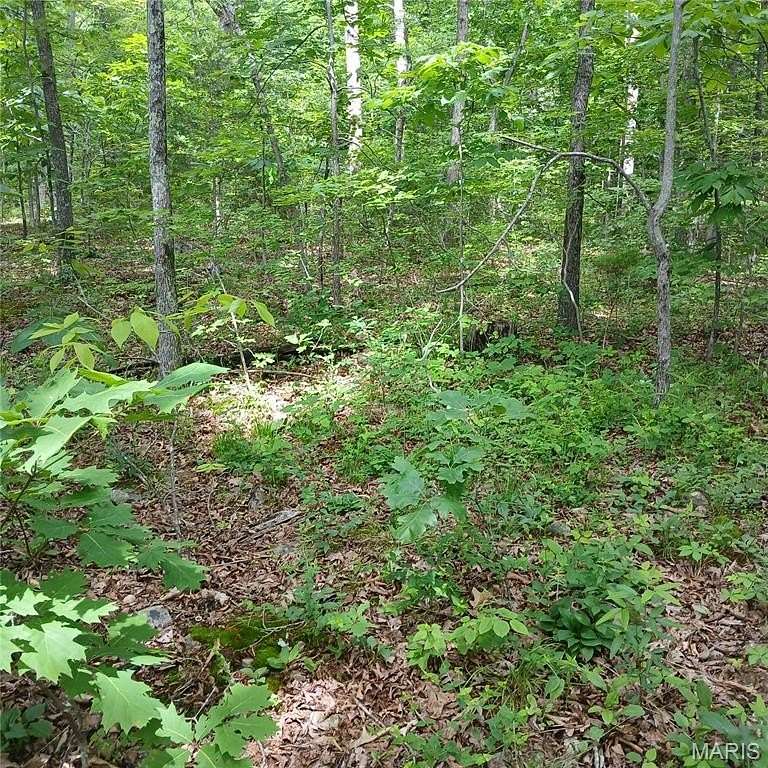 0.23 Acres of Land for Sale in Bismarck, Missouri