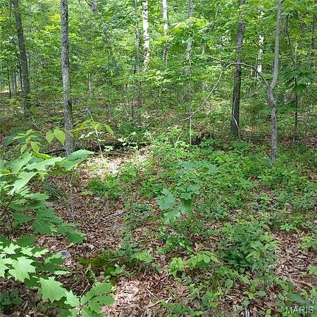 0.23 Acres of Land for Sale in Bismarck, Missouri