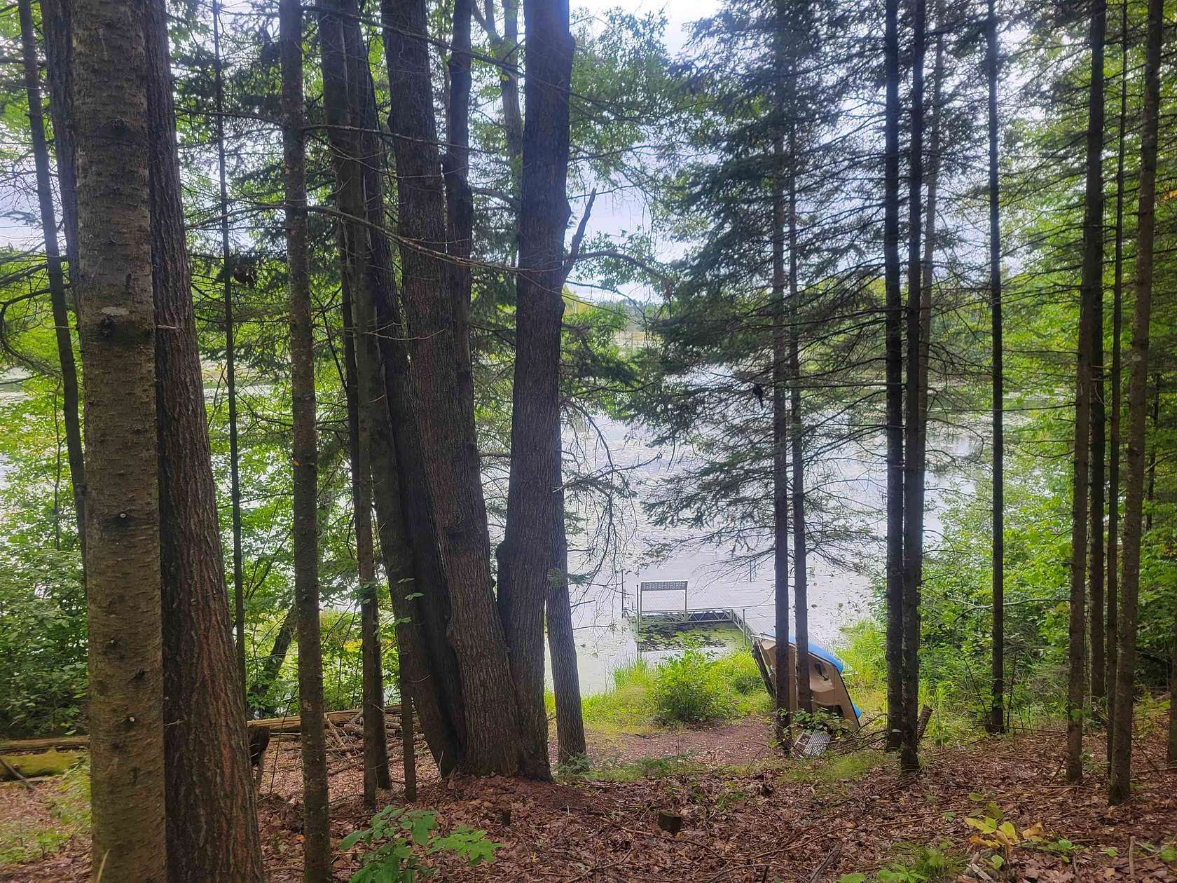 1.45 Acres of Residential Land for Sale in Townsend, Wisconsin