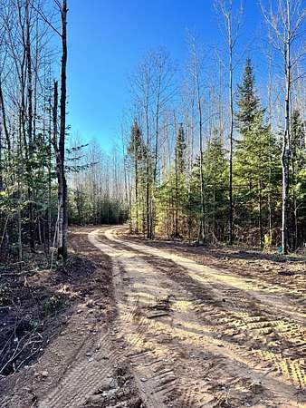 20 Acres of Land for Sale in Minocqua, Wisconsin