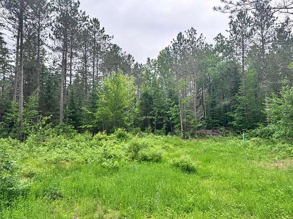 15 Acres of Land for Sale in Minocqua, Wisconsin