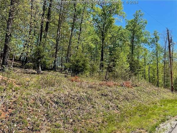 1 Acre of Residential Land for Sale in Ripley, West Virginia